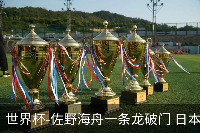 世界杯-佐野海舟一条龙破门 日本半场暂1-0领先巴西