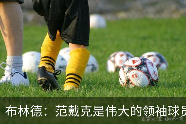 布林德：范戴克是伟大的领袖球员，在利物浦队和荷兰队都是如此