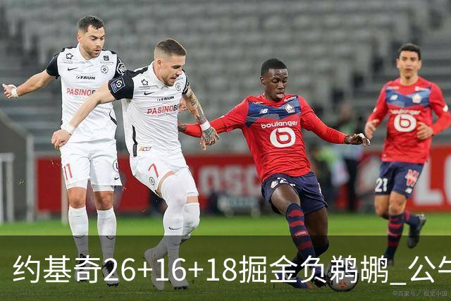约基奇26+16+18掘金负鹈鹕 公牛不敌魔术3连败